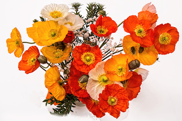 How to Make Crepe Tissue Paper Poppies